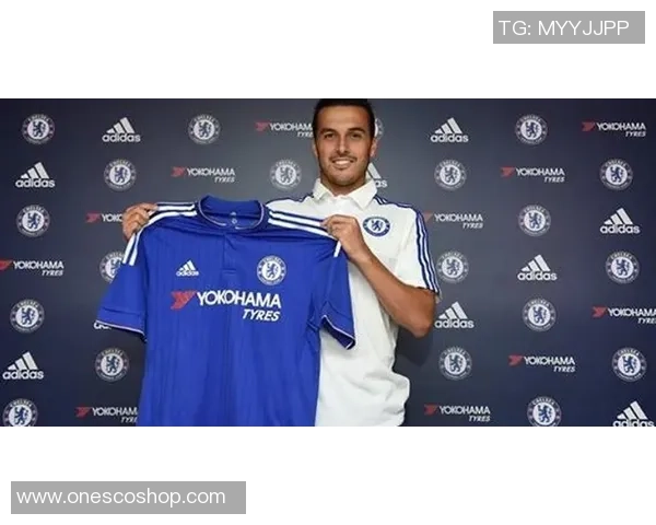 王少杰的奋斗历程与成功秘诀探秘：从平凡到卓越的成长之路